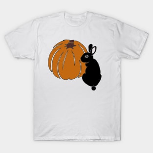 Poe and Pumpkin T-Shirt